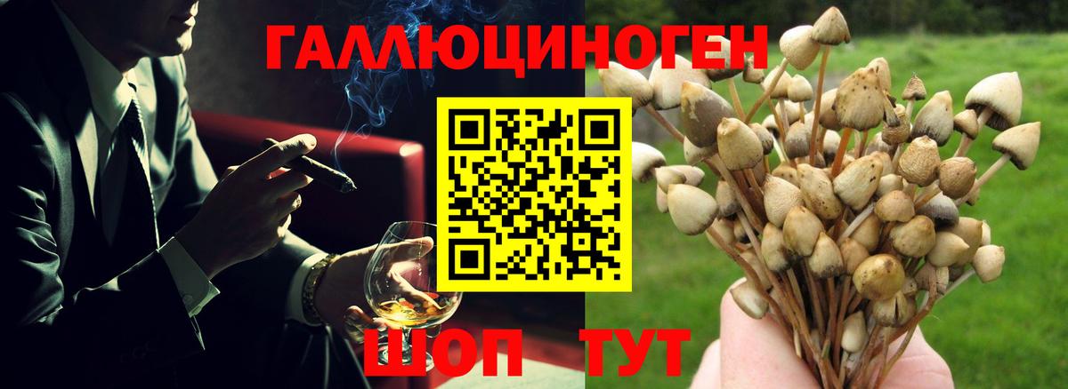 Красноярск  Галлюциногенные грибы Cubensis  Вход с VPN 